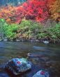 Logan River Rocks