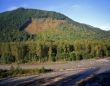 Nooksack River Clear Cut