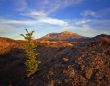 Mt St Hellens 4 (H)
