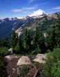 Mt Baker 3