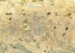 stone texture