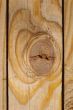 Wood texture of pine fence