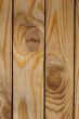 Wood texture of pine fence