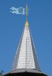 Silver feather upon blue sky