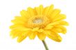 bright