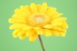 bright