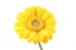 bright