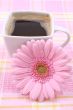 cup of coffee