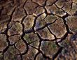 Cracked Dirt