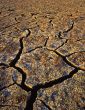 Drought