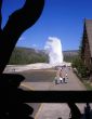 Old Faithful #3