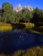 Schwabachers Landing #9