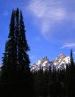 Tetons & Forest