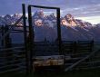 Tetons & Corral #1