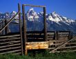 Tetons & Corral #2