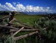 Tetons & Fence #3