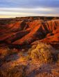 Painted Desert