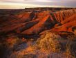 Painted Desert