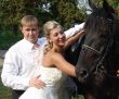 Groom and bride holding a brown horse