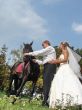 Happy newlyweds with horse outdoors