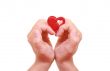 two hands with red heart isolated on white