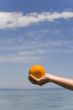 hand keeps orange on background sky