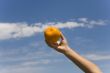 hand keeps orange on background sky