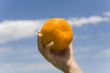 hand keeps orange on background sky