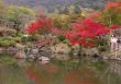 Japanese fall pond