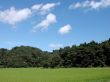 Rice field,forest and blue cloudy sky