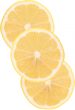 fresh lemon slices isolated on white