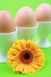 Easter time