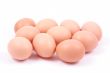 lots of eggs
