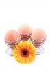 three eggs and yellow gerbera