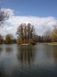 Island on pond in park. Fall