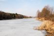Frozen forest lake