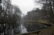 Grey lake near Kiev with strange trees