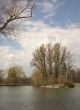 Island on pond in big park. Fall