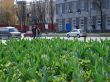 Vladimirskaya Street in Kiev