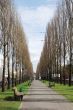 Boulevard Shevchenko in Kiev