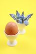 Easter decoration