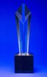 Trophy with space for your text