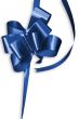 Blue Bow