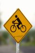 Bicycle road