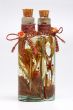 Bottle with plants