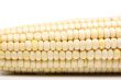 Corn on the cob close-up 3