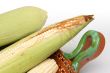 Corns on the cobs in crock 1