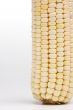 Corn on the cob close-up