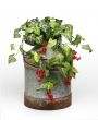 Plants on bucket