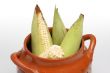 Corns on the cobs in pot 2